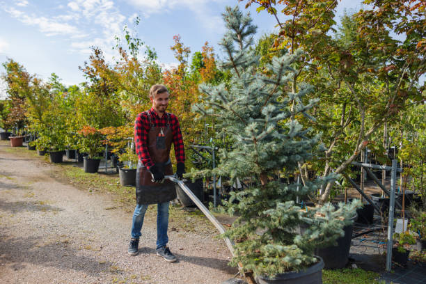 Best Arborist Services Near Me  in Cleveland, TX